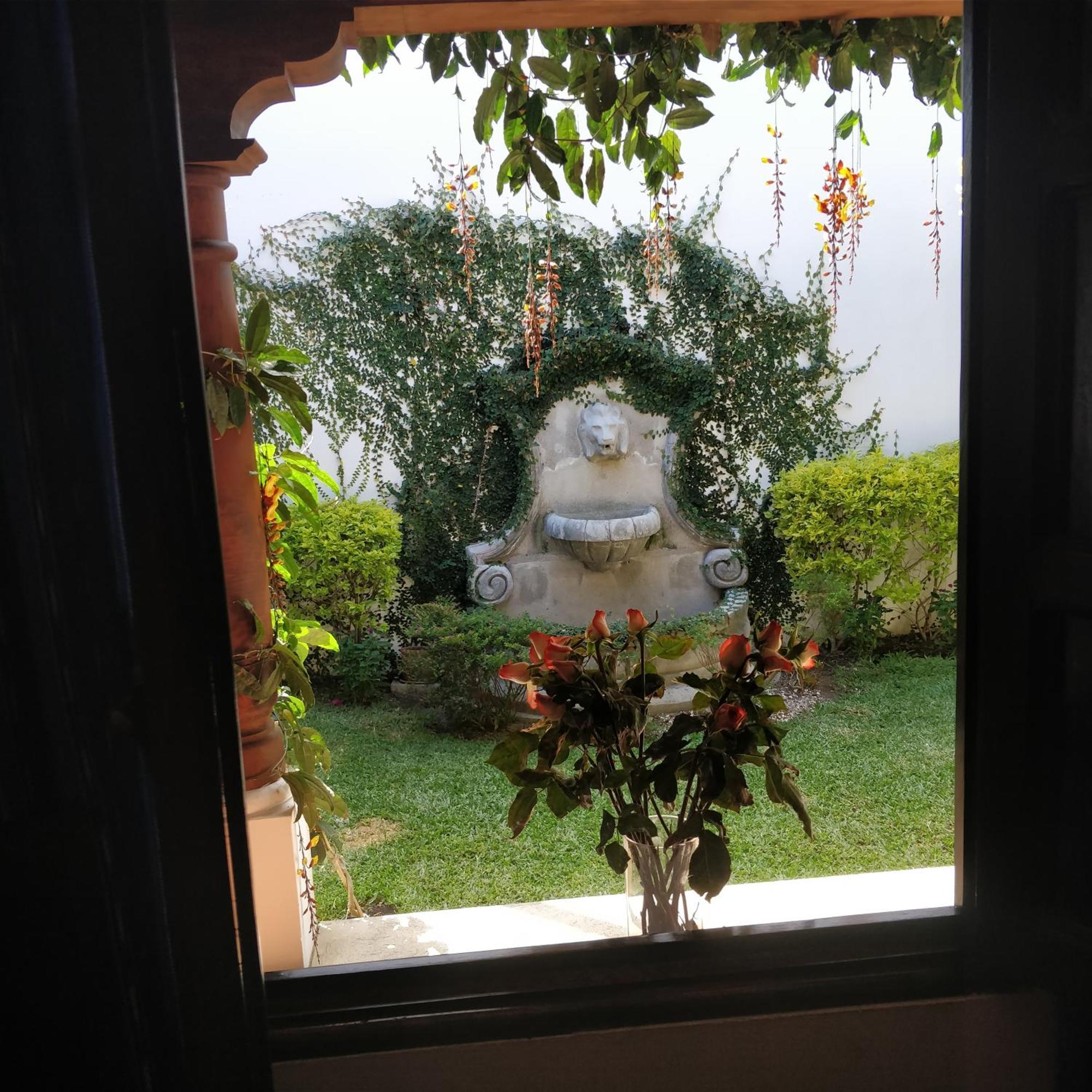 Casa Elena Bed and Breakfast Antigua Δωμάτιο φωτογραφία