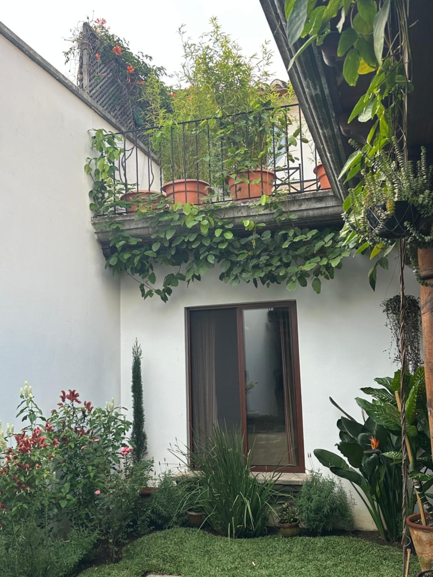 Casa Elena Bed and Breakfast Antigua Εξωτερικό φωτογραφία