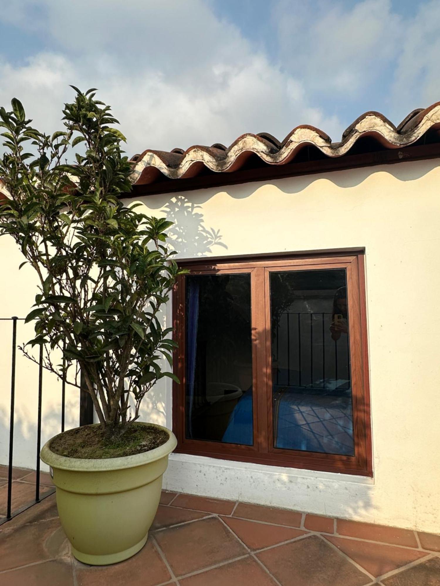Casa Elena Bed and Breakfast Antigua Εξωτερικό φωτογραφία