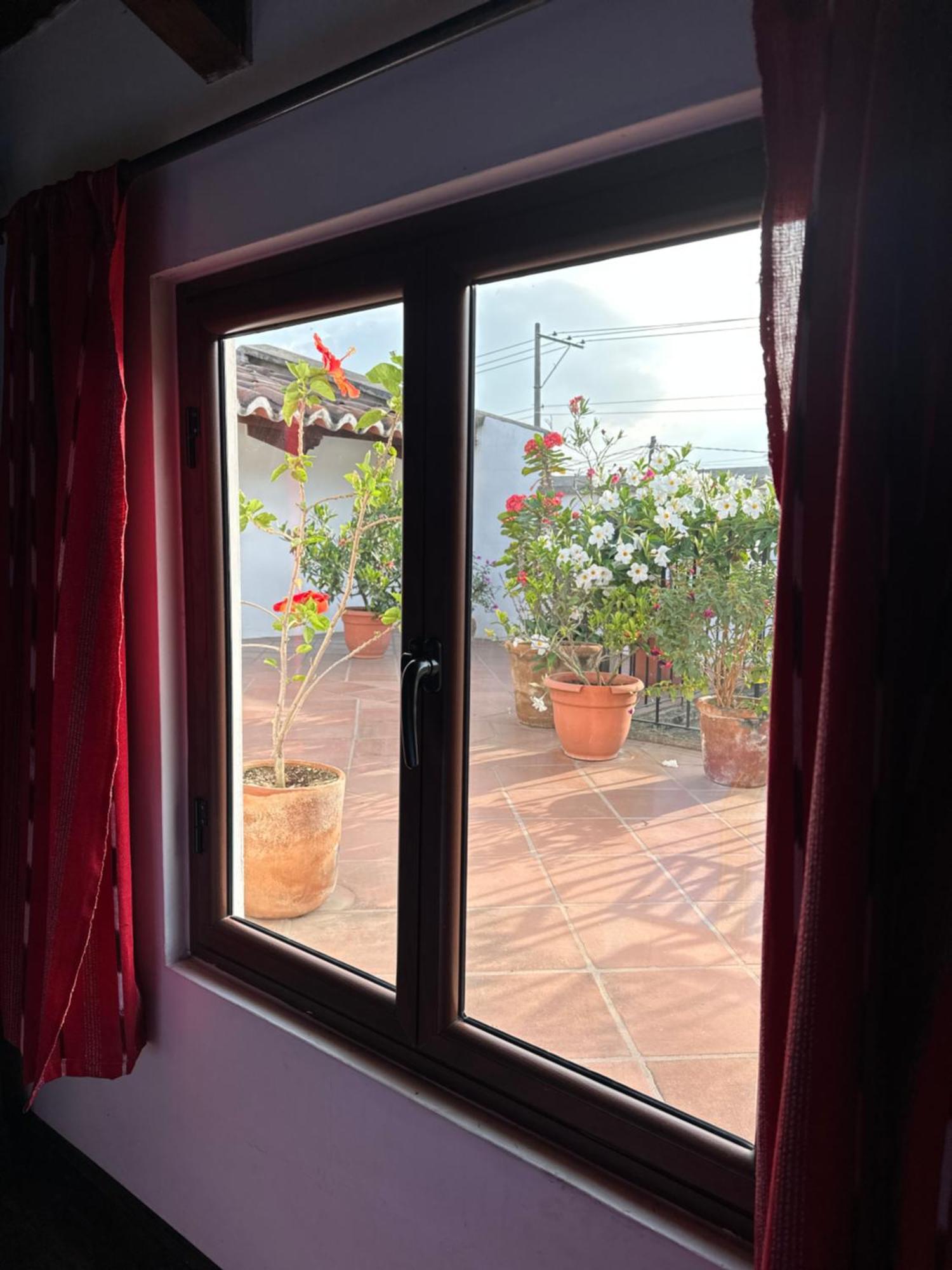 Casa Elena Bed and Breakfast Antigua Εξωτερικό φωτογραφία