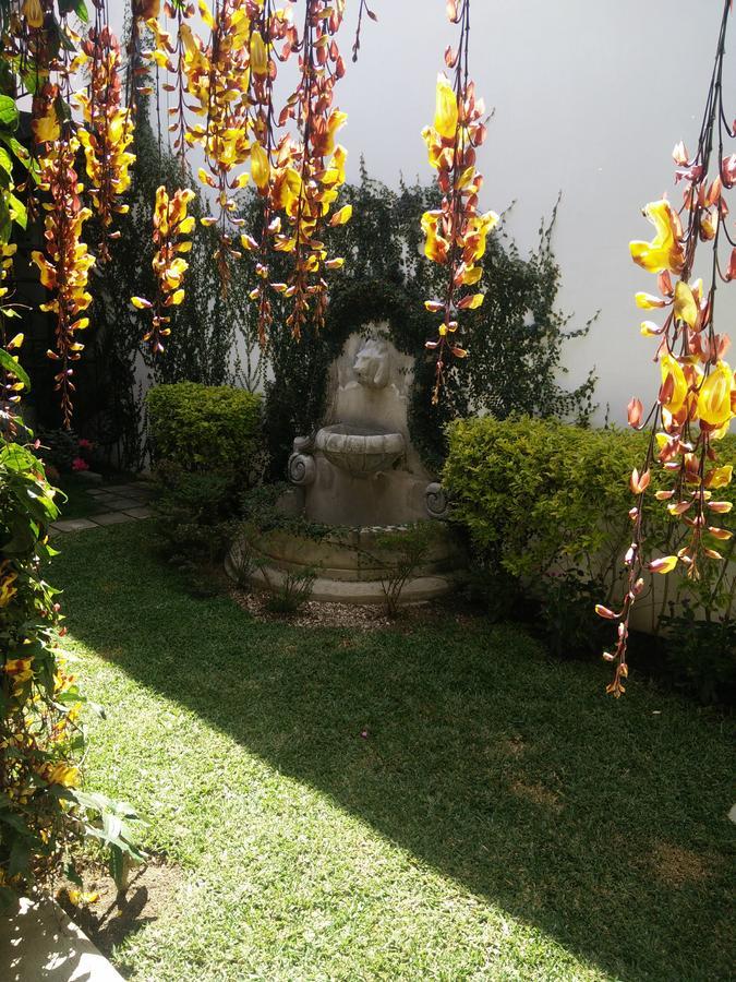 Casa Elena Bed and Breakfast Antigua Εξωτερικό φωτογραφία